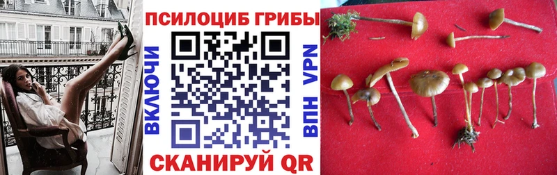 Галлюциногенные грибы ЛСД  гидра онион  Берёзовка 
