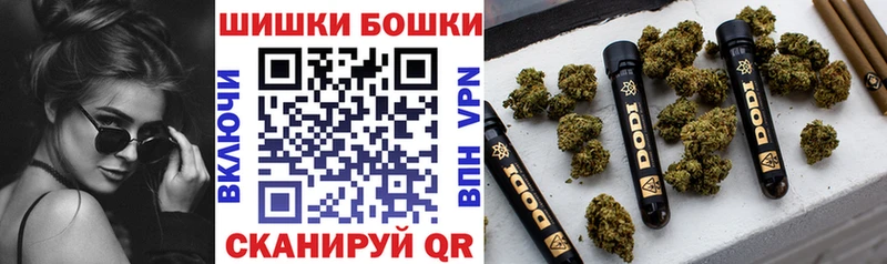 Шишки марихуана планчик  Берёзовка 